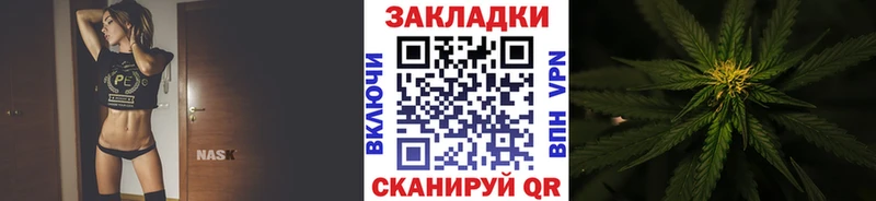 Наркота Салаир Канабис  Псилоцибиновые грибы  Мефедрон  Alpha PVP  АМФ 