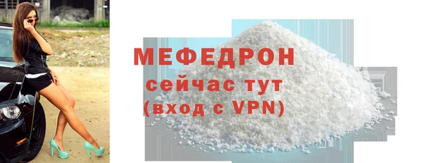 винт Ельня