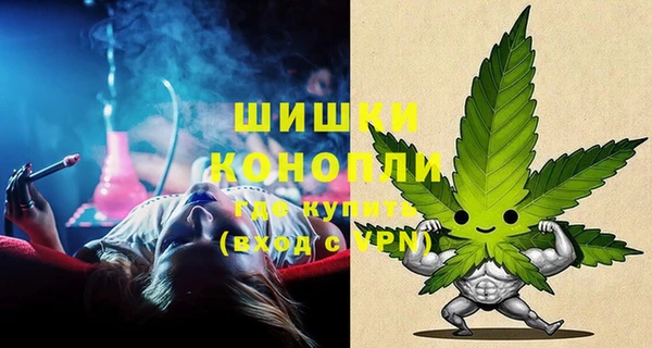 винт Ельня