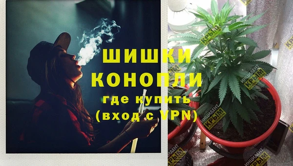 винт Ельня