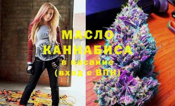 винт Ельня