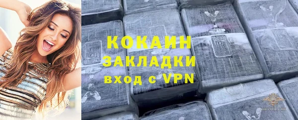 винт Ельня