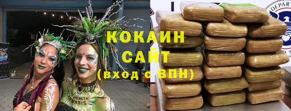 винт Ельня