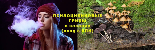мдма Елизово