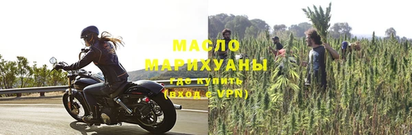 винт Ельня