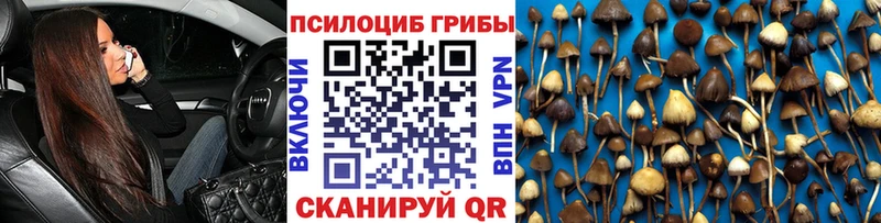 Галлюциногенные грибы мицелий  купить наркоту  Салаир 
